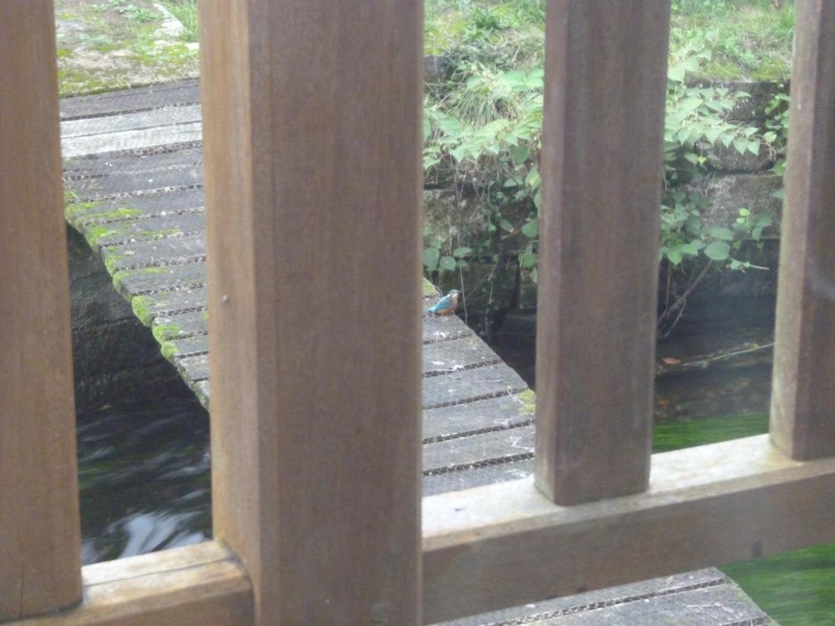 Le Moulin De Cors Bed & Breakfast Oulches Bagian luar foto