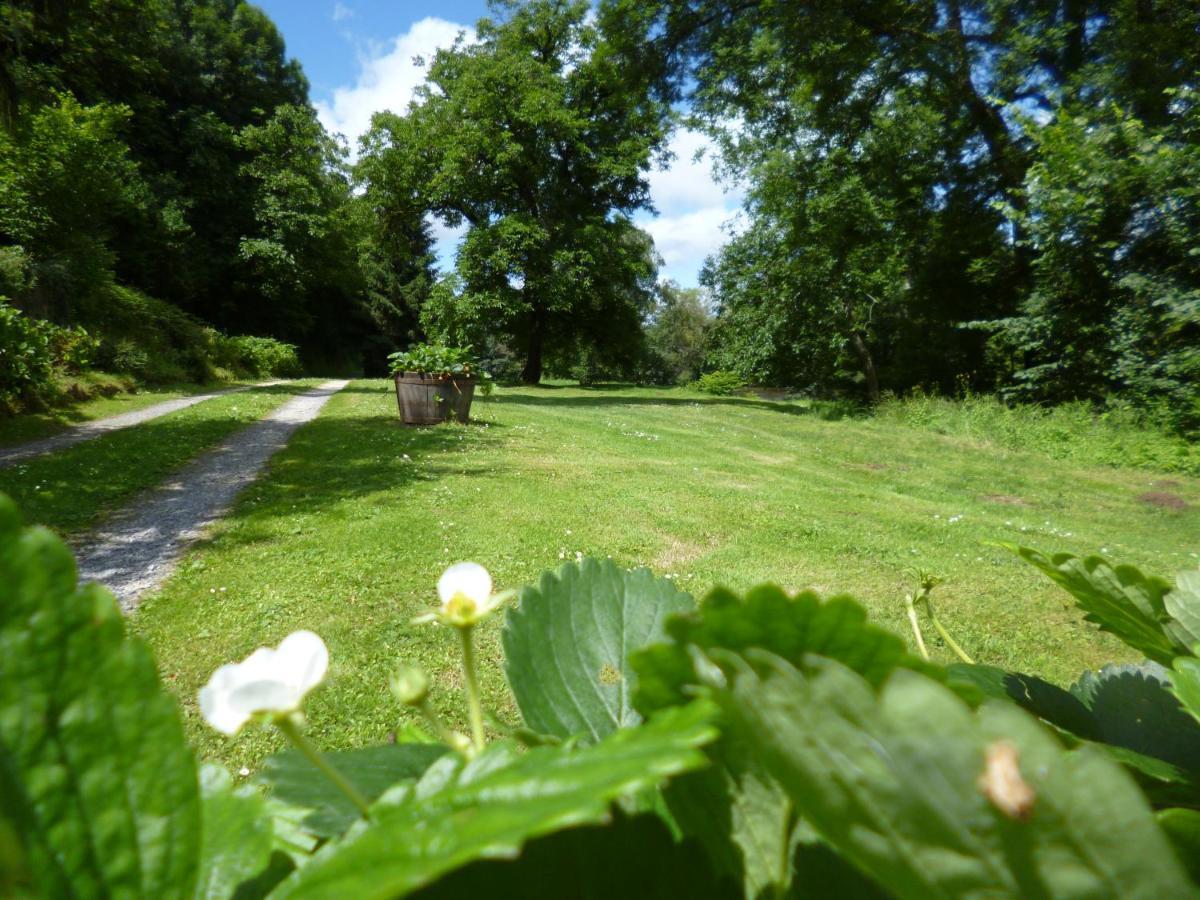 Le Moulin De Cors Bed & Breakfast Oulches Bagian luar foto