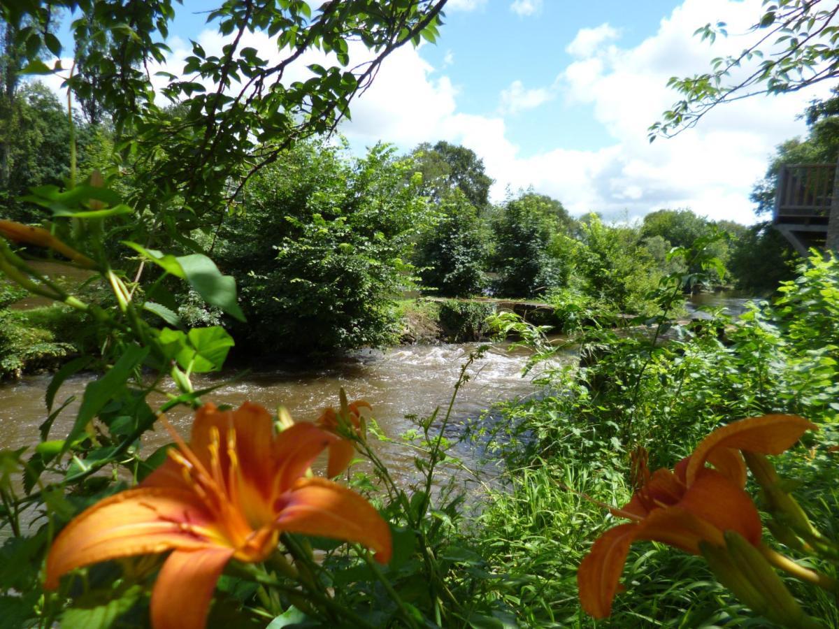 Le Moulin De Cors Bed & Breakfast Oulches Bagian luar foto
