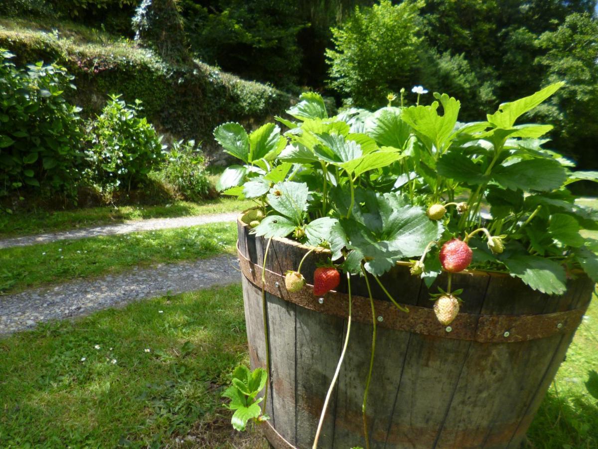 Le Moulin De Cors Bed & Breakfast Oulches Bagian luar foto